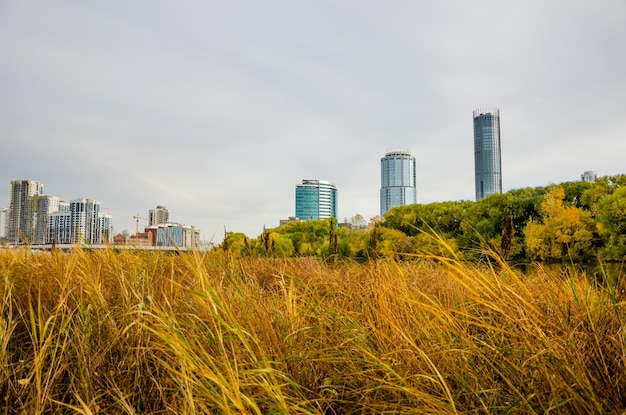 A view of the city of calgary from the south bank.