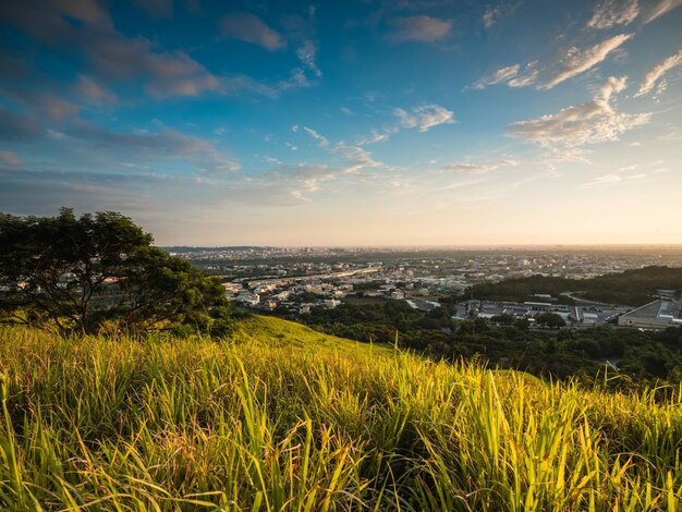 美しい山からの街の景色 青い空と緑の草原