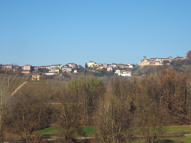 View of the city of Monta D'alba