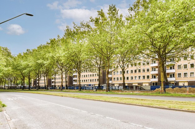 View of city street