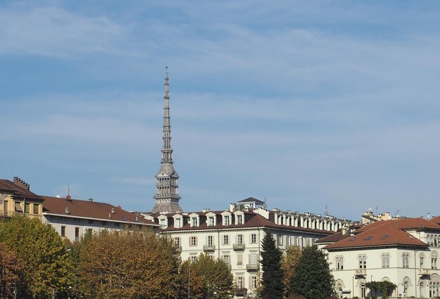 View of the city of Turin