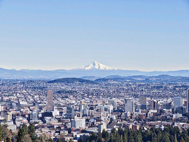 青い空を背景にした都市景色の景色