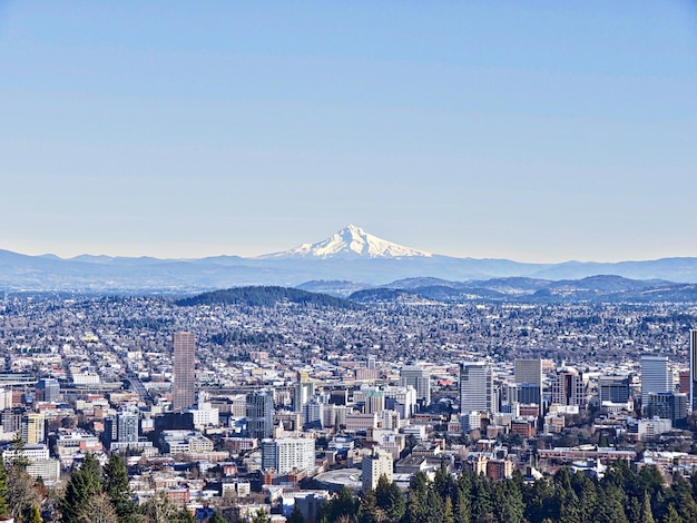 Photo view of cityscape against blue sky