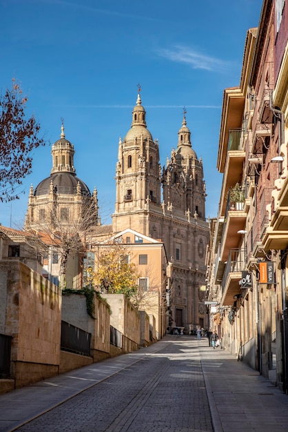 View of the Clerecia towers from Palominos street in Salamanca