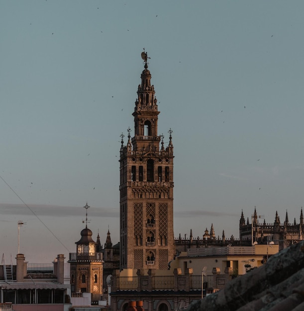 View of clock tower in city