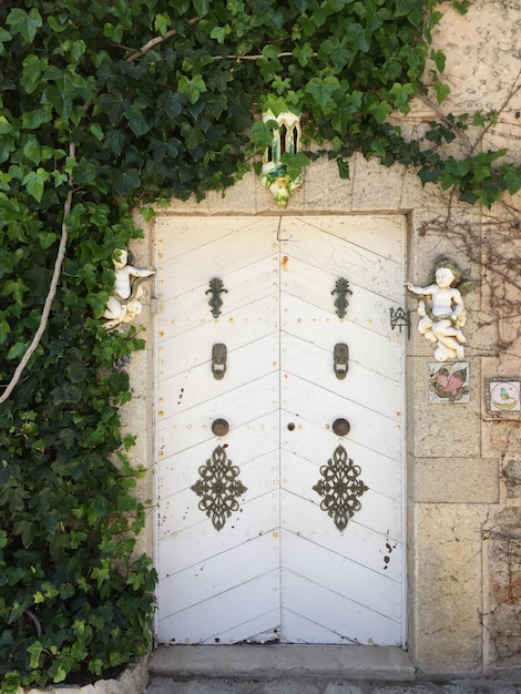 Foto veduta di una porta chiusa lungo le piante