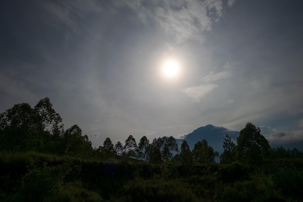 View on cloudy sky and forest during dawn