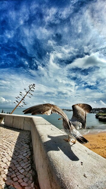 View of cloudy sky