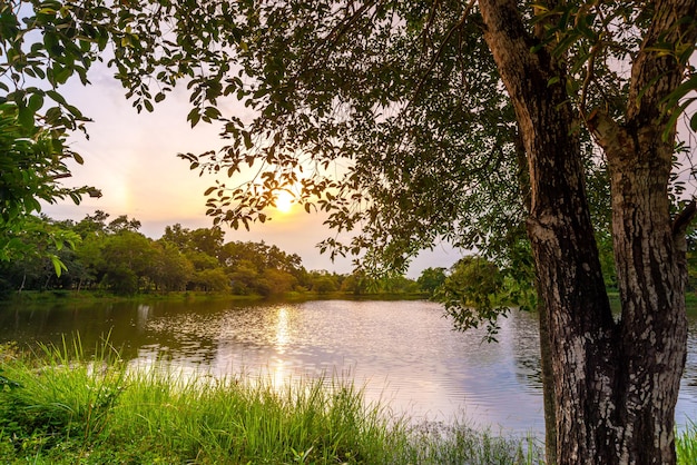 숲의 워터 리버(Water River)에 구름을 배경으로 하는 다채로운 극적인 하늘 일몰 또는 일출의 전망, 자연에 구름이 있는 하늘, 여행 개념.