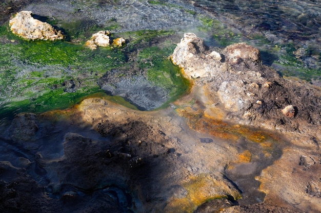 Hot Creek Geological Site의 천연 온천 강에 있는 다채로운 풀의 전망