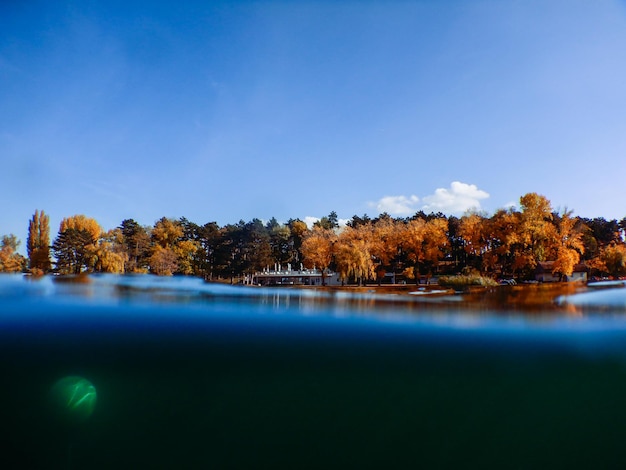 View to colorful trees in autumn while diving in a lake