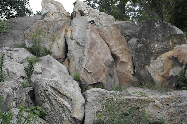 Photo a view of a composition of large stones in a japanese rock garden