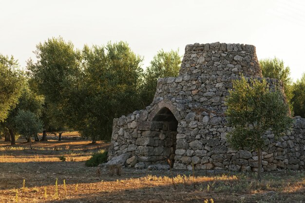 プーリア州イトリア渓谷のアルベロベッロの伝統的な石造りのトゥルッロの家の円錐形の屋根の眺め。トゥルーリスは南イタリアのこの地域に特有です