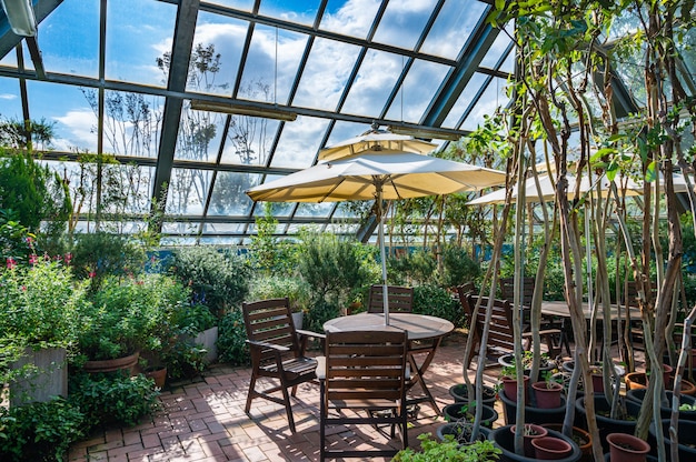 A view of the conservatory with bright sunlight and chairs.