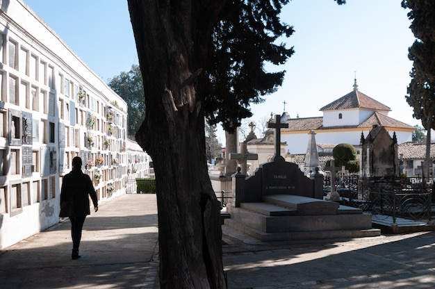 View of the Cordoba cemetery on the day of the dead or All Saints