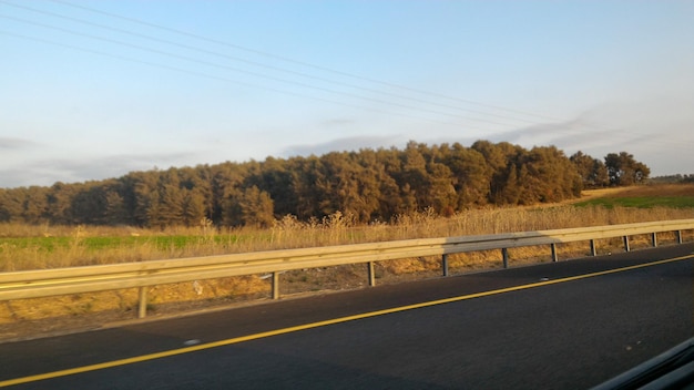 樹木に沿った田舎道路の景色