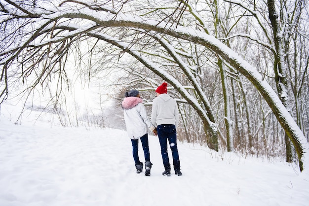 Vista delle coppie nell'amore dalla parte posteriore nell'inverno all'aperto