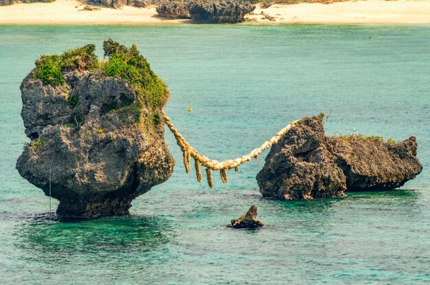 Foto veduta di un granchio sulla roccia in mare