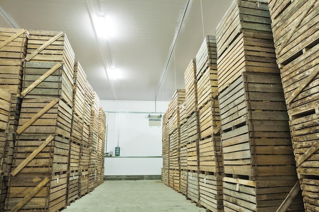 View on crates of potato in storage house