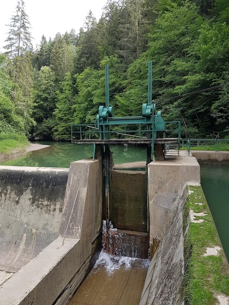 Foto vista della diga sul ponte nella foresta