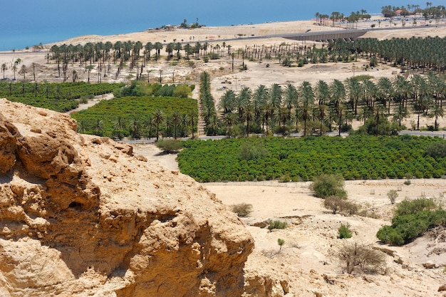 Вид на Мертвое море со склонов Иудейских гор
