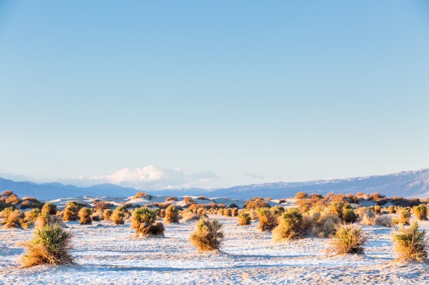 View of the Death Valley National park during Winter.