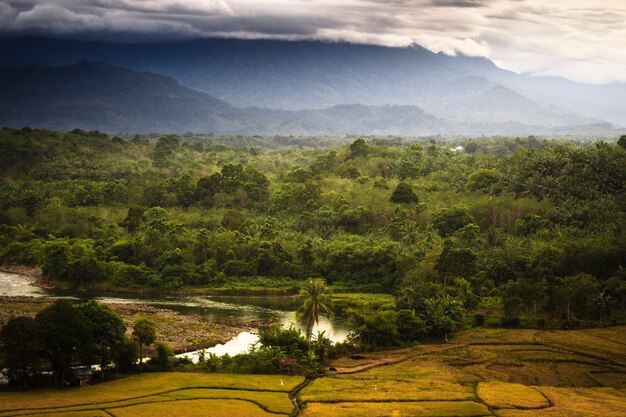 Vista della fitta foresta e montagne al mattino con l'acqua del fiume che scorre in indonesia