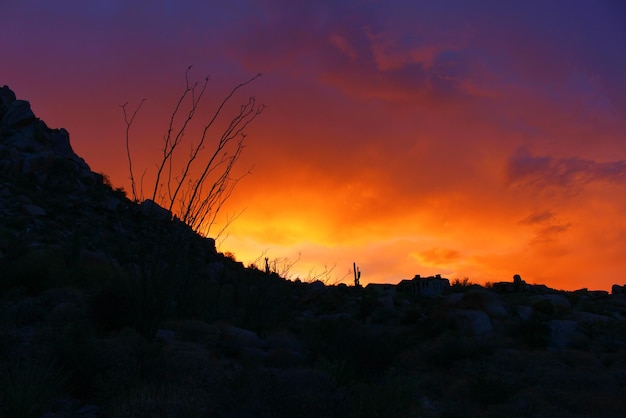 Foto vista del deserto contro un cielo arancione