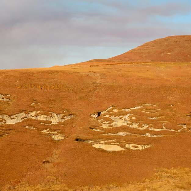 Foto la vista di un deserto