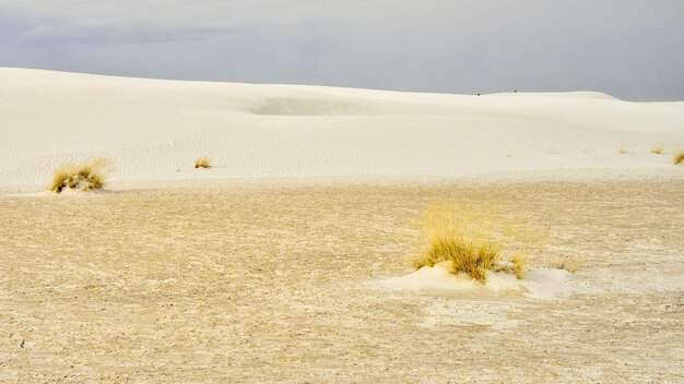 Foto vista di un deserto