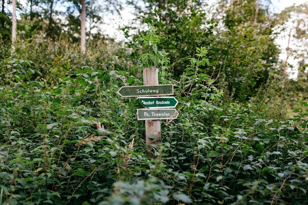 view of directional sign in park