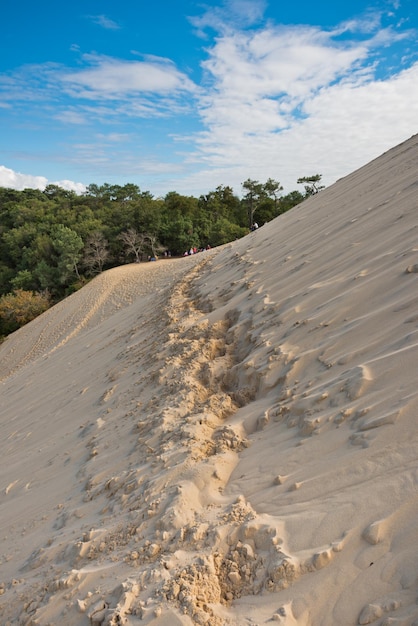 View down from the dune of Pyla, Europe's highest dune