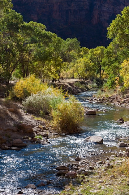 View down the Virgin River