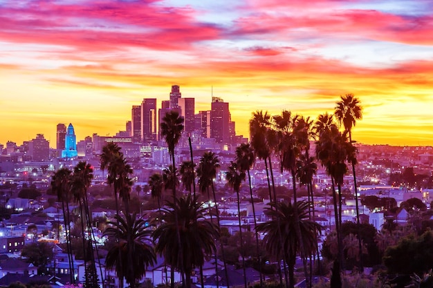 Photo view of downtown los angeles skyline with palm trees at sunset in california united states