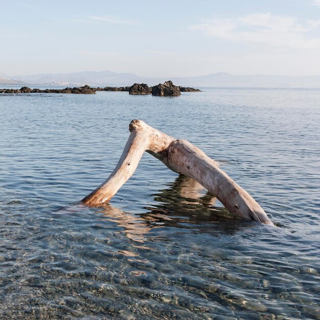 Foto veduta del legno alla deriva in mare