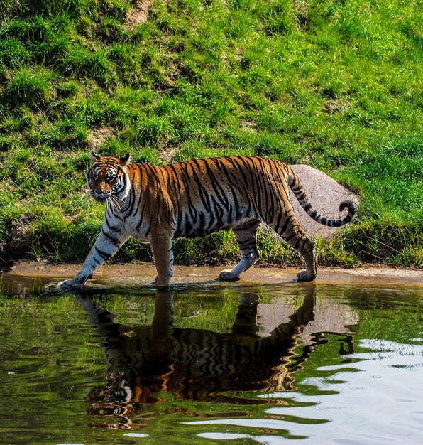 Photo view of a drinking water