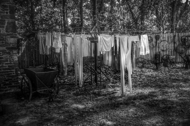 Photo view of drying laundry