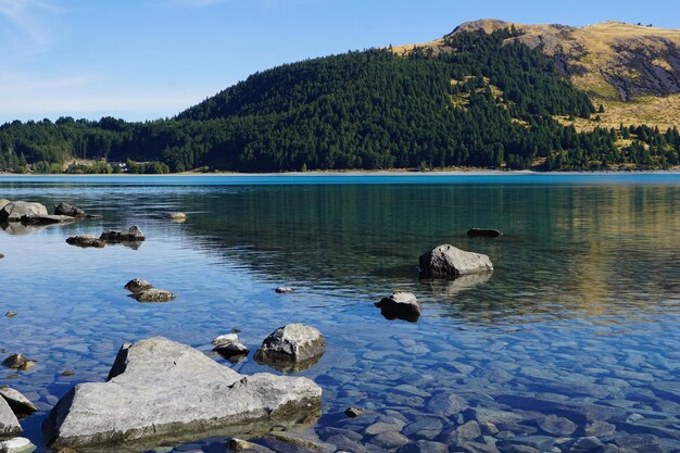 Foto vista delle anatre nel lago