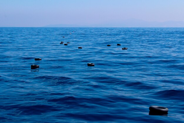 View of ducks swimming in sea