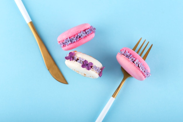 Photo above view eco macarons with flowers on blue background