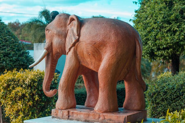 Foto vista di un elefante in piedi contro le piante