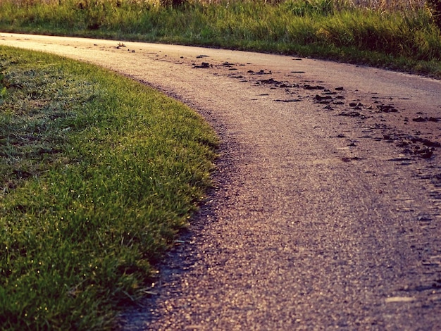 Photo view of empty road along plants