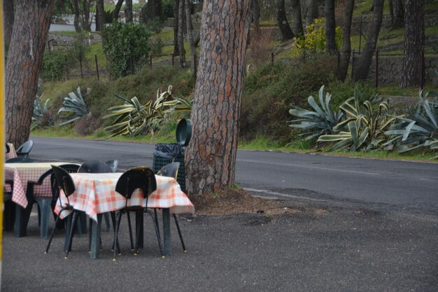 Photo view of an empty road