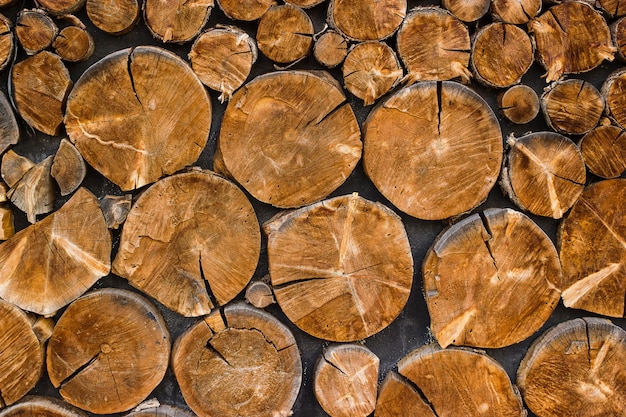 View of end cut wood tree section with cracks and annual rings\
wood background