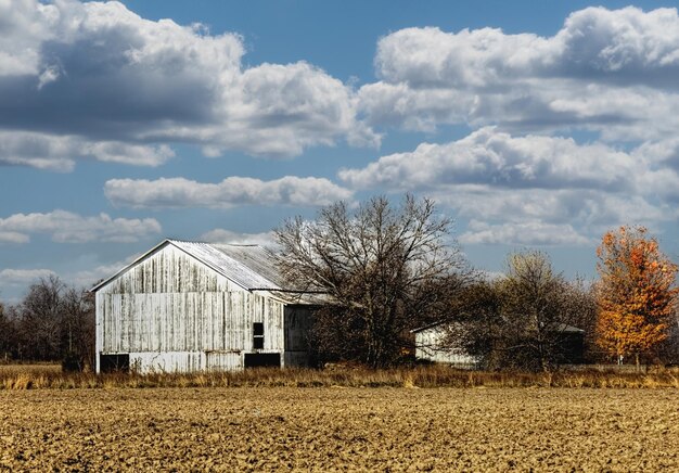 Photo view of european pastoral style architecture and nature from above