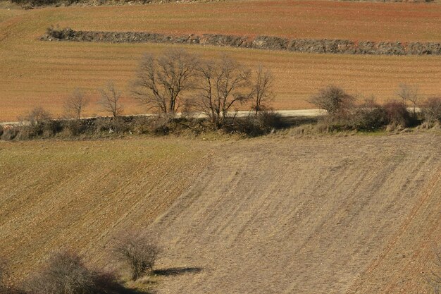 Photo view of farm against sky