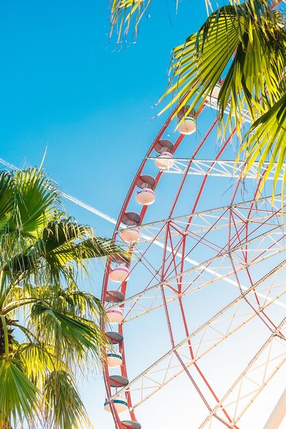 Photo view of the ferris wheel attraction against a background of blue sky between palm trees