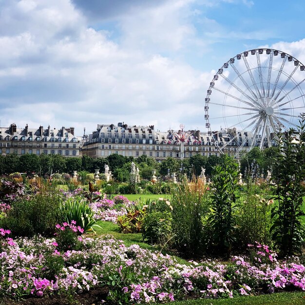 Foto vista della ruota panoramica nel parco