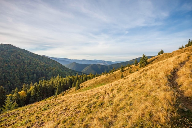 Photo view of a field with mountain range in the background