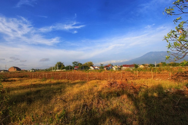 a view of a field with mountains in the background